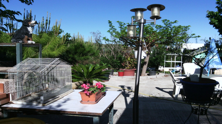 Ma-Cabane - Vente Local commercial Villeneuve-lès-Maguelone, 450 m²