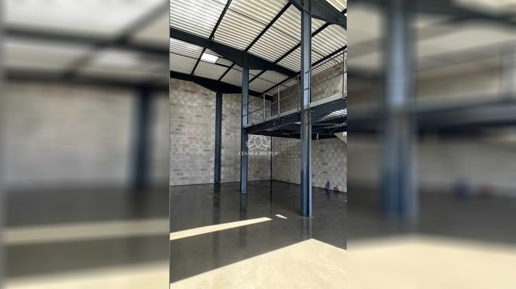 Ma-Cabane - Vente Local commercial Villette-d'Anthon, 250 m²