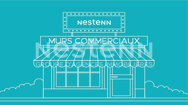 Ma-Cabane - Vente Local commercial VINEUIL, 600 m²