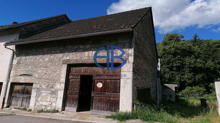 Ma-Cabane - Vente Local commercial VIRIEU-LE-GRAND, 415 m²