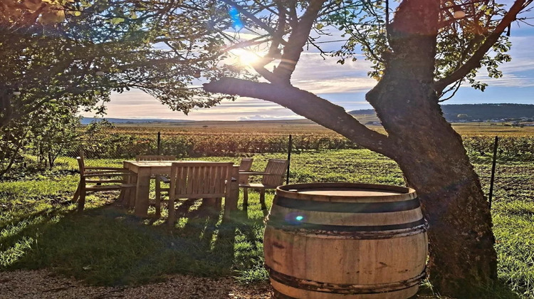 Ma-Cabane - Vente Local commercial Volnay, 1444 m²