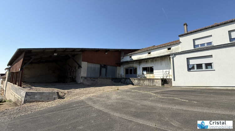 Ma-Cabane - Vente Local commercial Waldwisse, 1200 m²