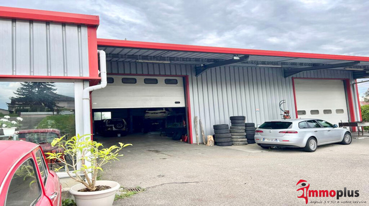 Ma-Cabane - Vente Local commercial Waltenheim, 360 m²