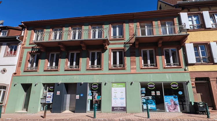 Ma-Cabane - Vente Local commercial Wasselonne, 164 m²