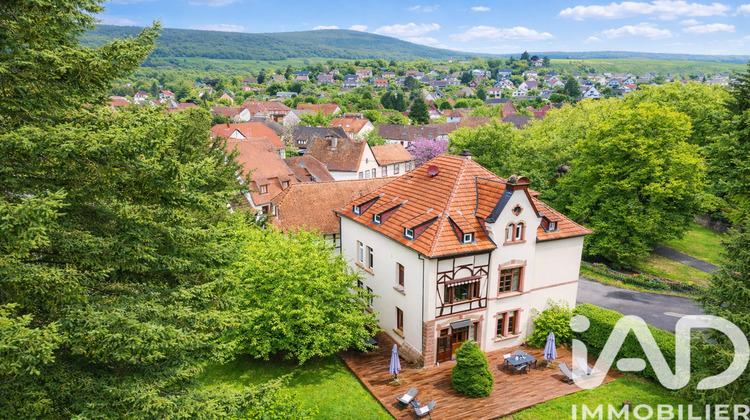 Ma-Cabane - Vente Local commercial Wissembourg, 307 m²