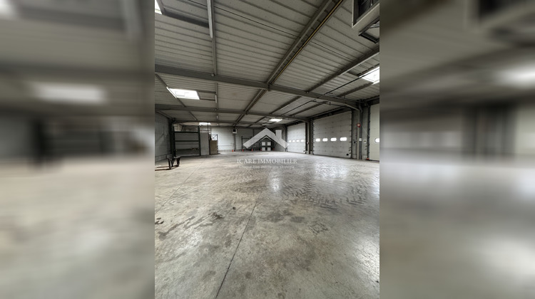 Ma-Cabane - Vente Local commercial Wittenheim, 913 m²