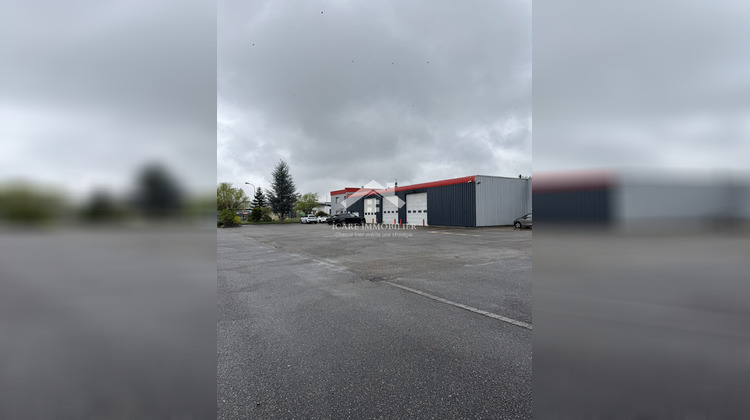 Ma-Cabane - Vente Local commercial Wittenheim, 1200 m²