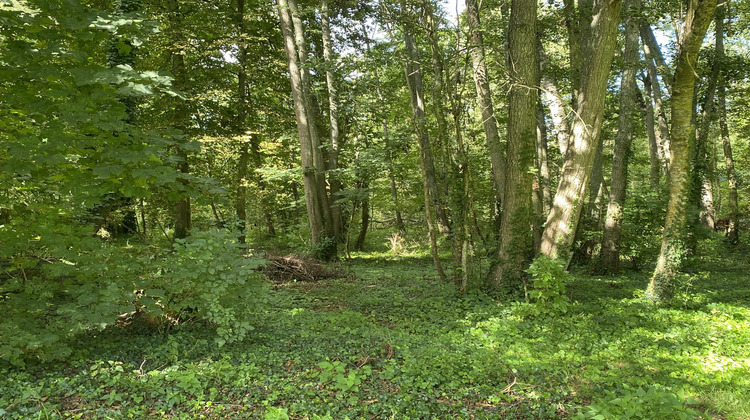 Ma-Cabane - Vente Maison Étampes, 300 m²