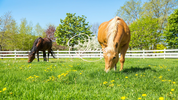 Ma-Cabane - Vente Maison Évreux, 100 m²