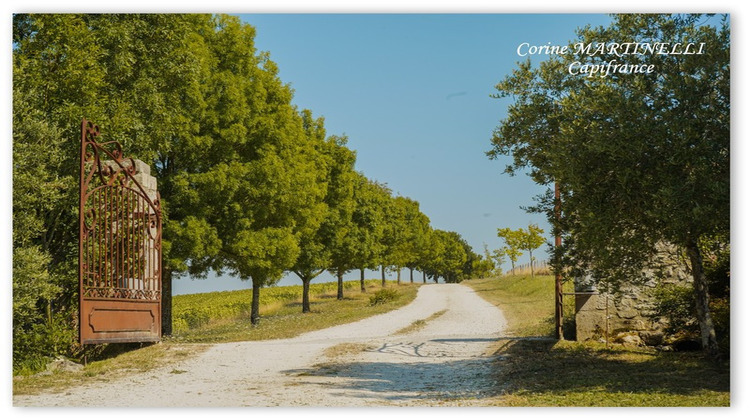 Ma-Cabane - Vente Maison AGEN, 885 m²