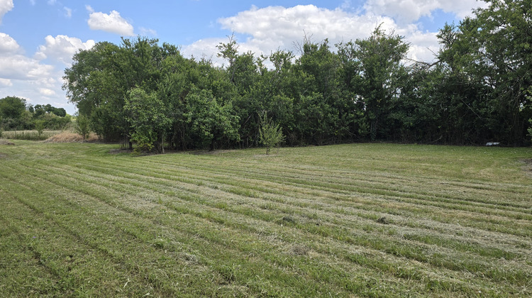 Ma-Cabane - Vente Maison Aigrefeuille-d'Aunis, 560 m²