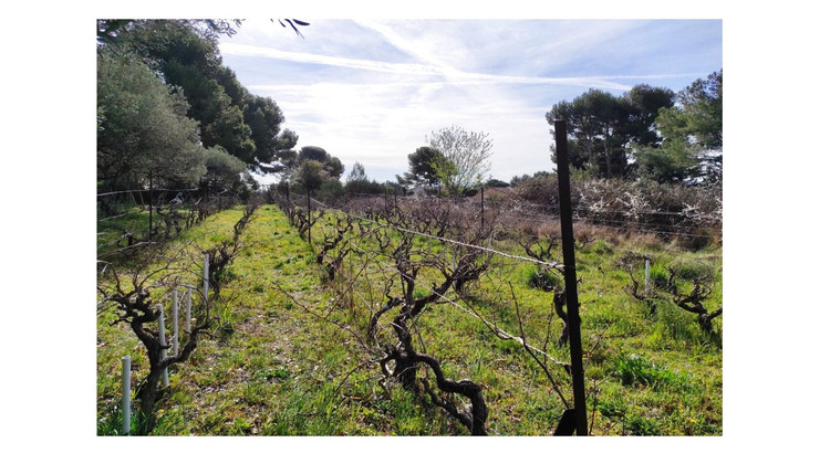 Ma-Cabane - Vente Maison Aix-en-Provence, 143 m²