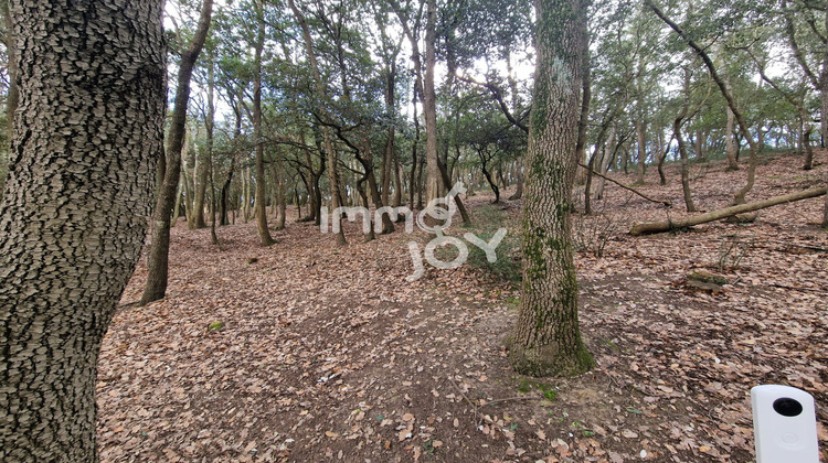 Ma-Cabane - Vente Maison Alairac, 250 m²