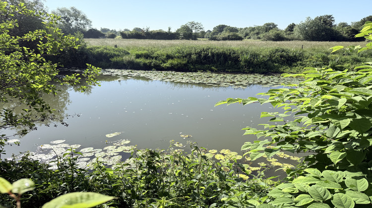 Ma-Cabane - Vente Maison Alençon, 76 m²