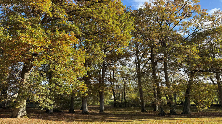 Ma-Cabane - Vente Maison ALENCON, 192 m²
