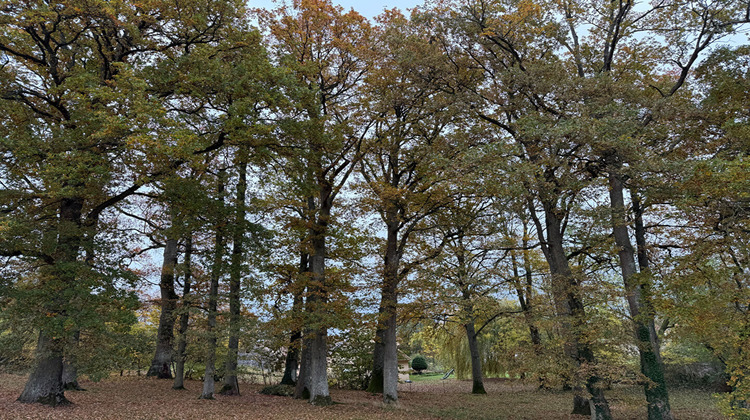 Ma-Cabane - Vente Maison ALENCON, 192 m²