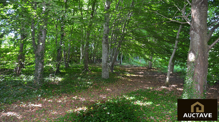 Ma-Cabane - Vente Maison ALENCON, 350 m²