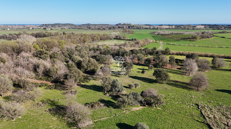 Ma-Cabane - Vente Maison Aléria, 95 m²