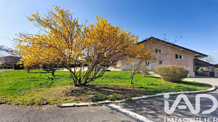 Ma-Cabane - Vente Maison Allinges, 124 m²