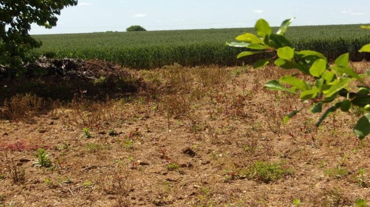 Ma-Cabane - Vente Maison Alloinay, 115 m²