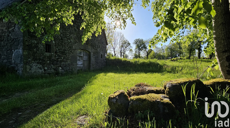 Ma-Cabane - Vente Maison Ally, 250 m²