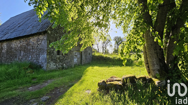 Ma-Cabane - Vente Maison Ally, 250 m²