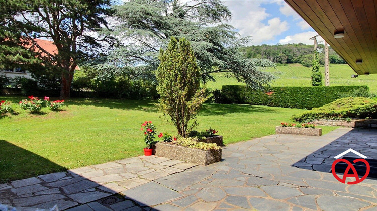 Ma-Cabane - Vente Maison Andlau, 360 m²