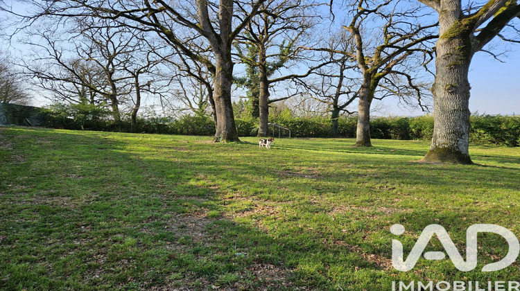 Ma-Cabane - Vente Maison Angeville, 238 m²