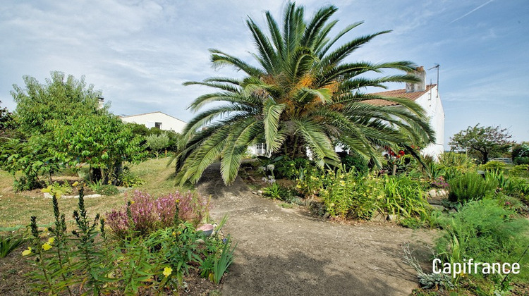 Ma-Cabane - Vente Maison ANGOULINS, 105 m²