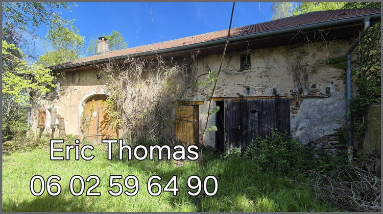 Ma-Cabane - Vente Maison Anould, 350 m²