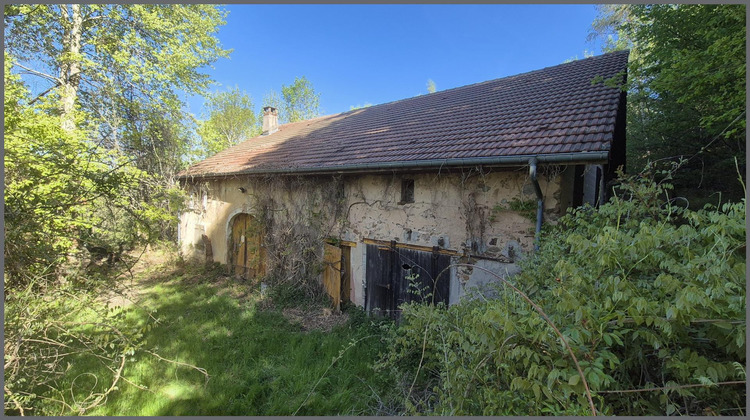 Ma-Cabane - Vente Maison Anould, 350 m²