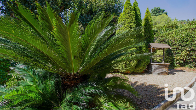 Ma-Cabane - Vente Maison Antibes, 166 m²