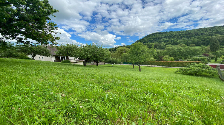 Ma-Cabane - Vente Maison ARBOIS, 145 m²