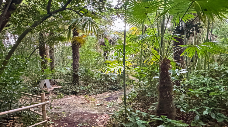 Ma-Cabane - Vente Maison Arcachon, 300 m²