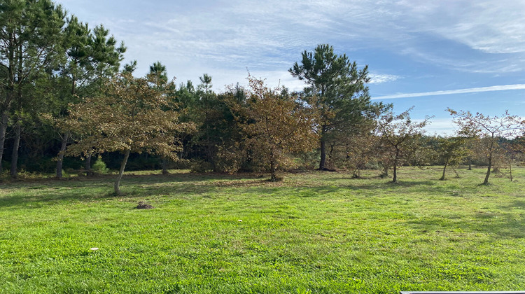 Ma-Cabane - Vente Maison ARENGOSSE, 317 m²