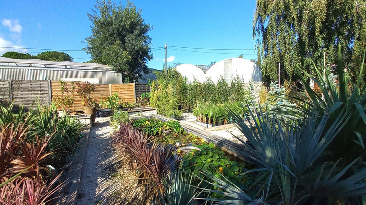 Ma-Cabane - Vente Maison Argelès-sur-Mer, 150 m²