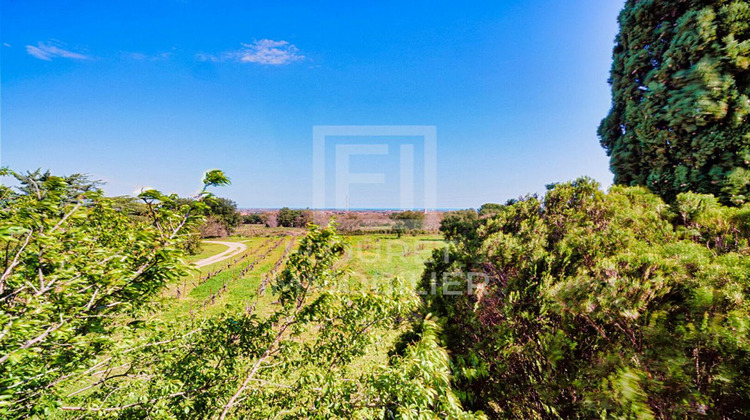 Ma-Cabane - Vente Maison ARGELES SUR MER, 230 m²