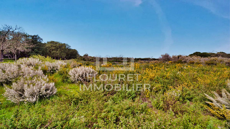 Ma-Cabane - Vente Maison ARGELES SUR MER, 230 m²