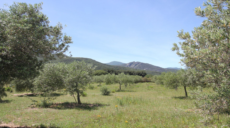 Ma-Cabane - Vente Maison Argelès-sur-Mer, 227 m²