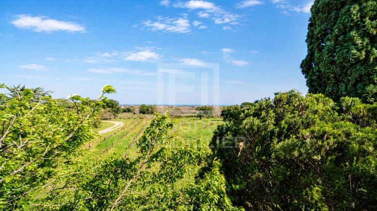 Ma-Cabane - Vente Maison ARGELES SUR MER, 230 m²