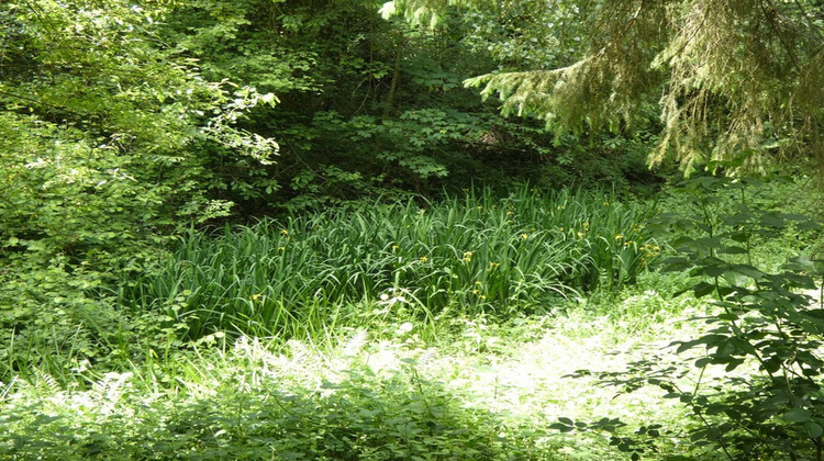 Ma-Cabane - Vente Maison ARGENTAN, 60 m²