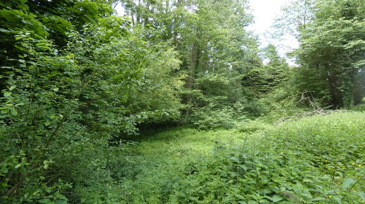 Ma-Cabane - Vente Maison ARGENTAN, 60 m²