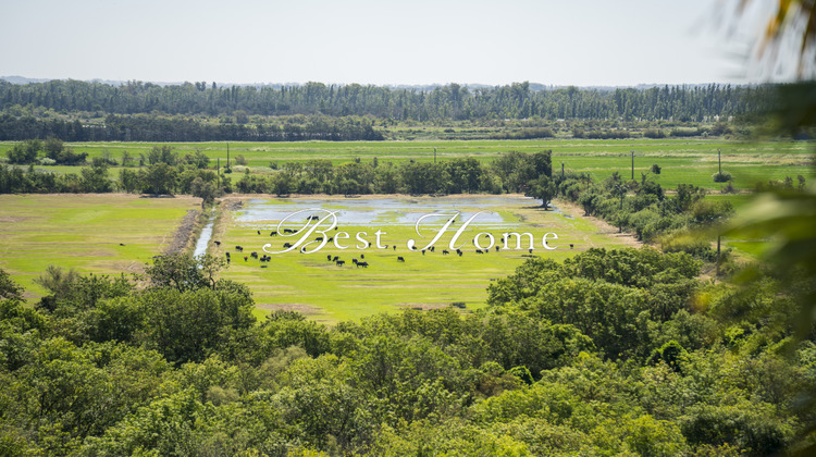 Ma-Cabane - Vente Maison Arles, 200 m²