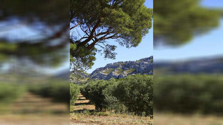 Ma-Cabane - Vente Maison ARLES, 800 m²