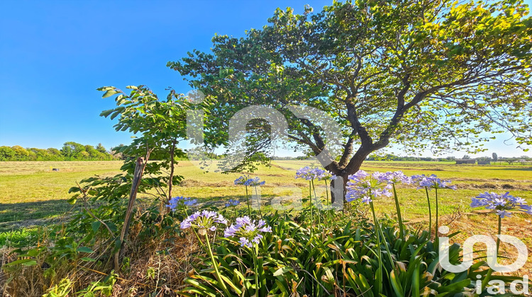 Ma-Cabane - Vente Maison Arles, 252 m²