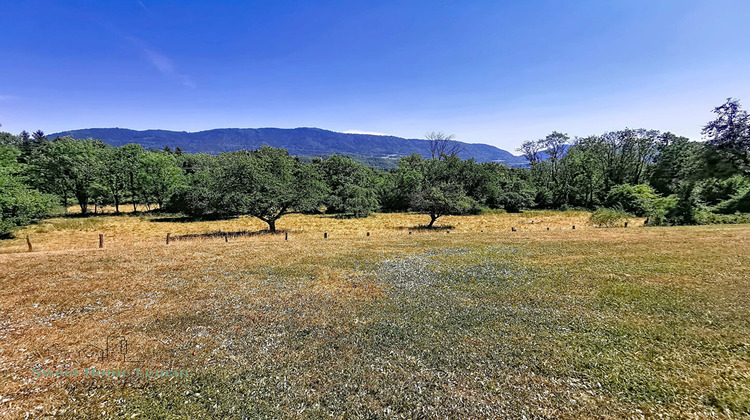 Ma-Cabane - Vente Maison ARMOY, 420 m²