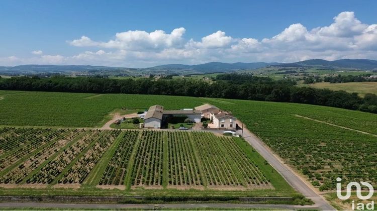 Ma-Cabane - Vente Maison Arnas, 310 m²