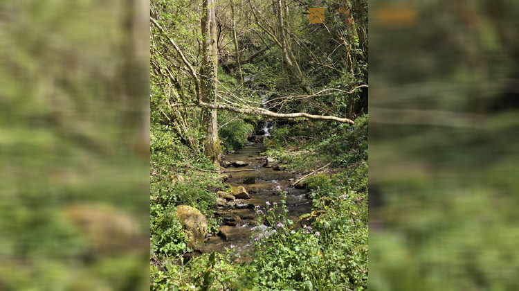 Ma-Cabane - Vente Maison Arrodets-ez-Angles, 100 m²