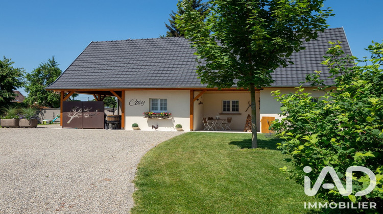 Ma-Cabane - Vente Maison Artolsheim, 300 m²