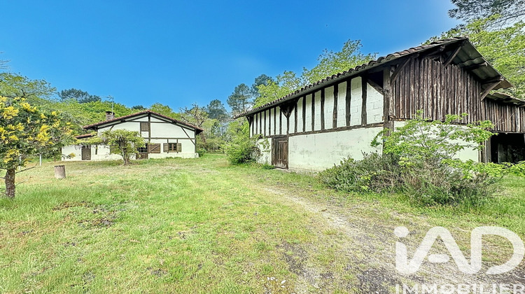 Ma-Cabane - Vente Maison Arue, 90 m²